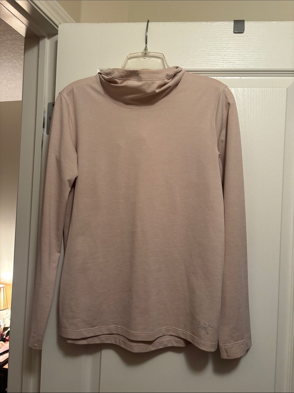 Arc'teryx Women's Long-Sleeve Turtleneck in Light Mauve